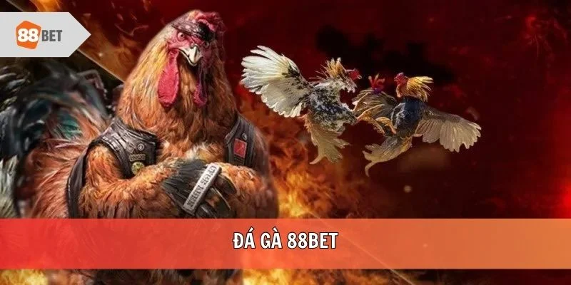 Đá gà 88bet