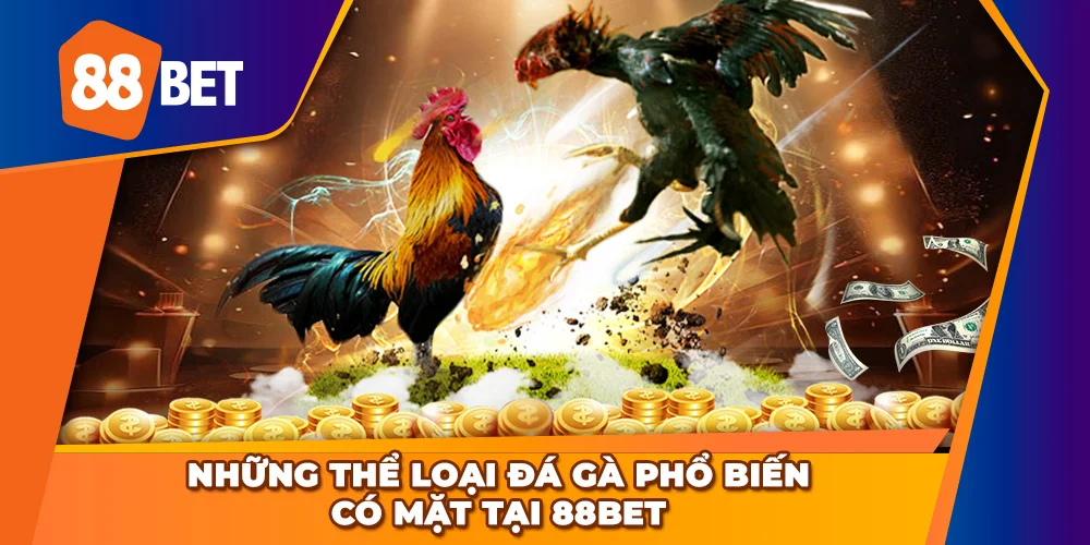 Các hình thức chọi gà phổ biến nên trải nghiệm tại 88BET